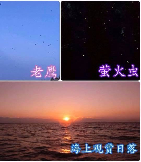 PHOTO-2019-06-12-20-02-38